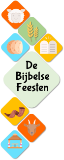 Feesten logo